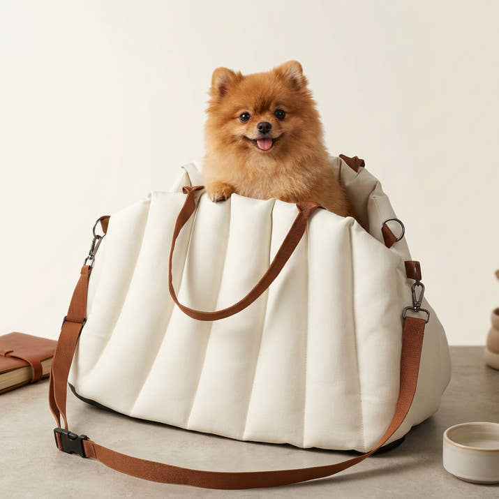 Pawsmee 3-in-1 dog travel bed and carrier for small dogs with soft padded sides and carry straps